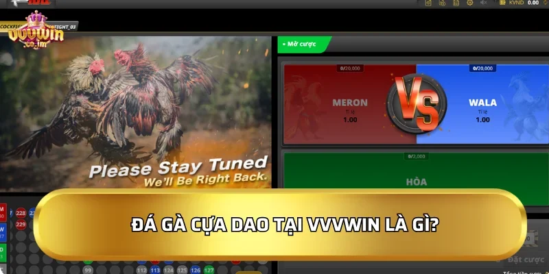 Đá gà cựa dao tại VVVWin là gì?